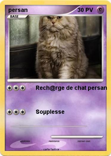 Pokemon persan