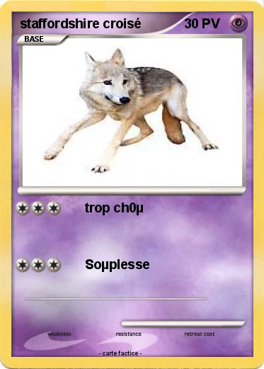 Pokemon staffordshire croisé