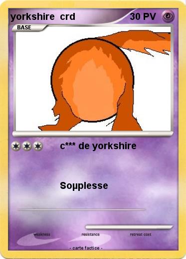 Pokemon yorkshire  crd