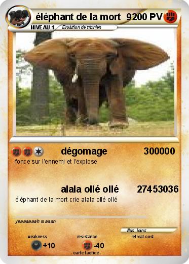Pokemon éléphant de la mort  9