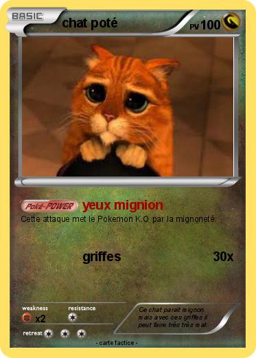 Pokemon chat poté