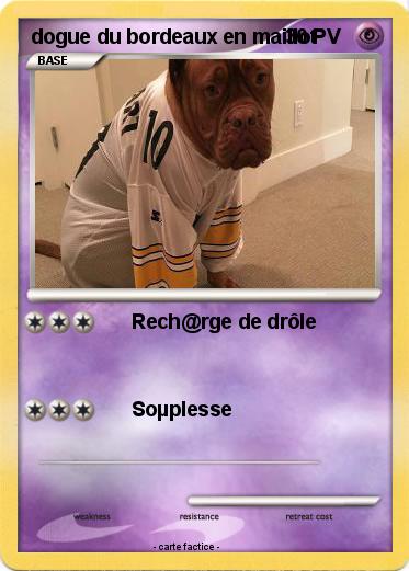Pokemon dogue du bordeaux en maillot