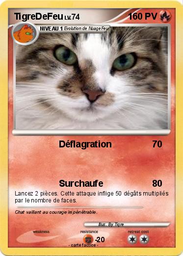 Pokemon TigreDeFeu