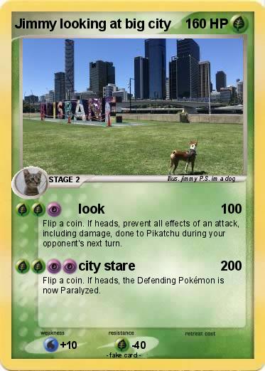 Pokemon Jimmy looking at big city