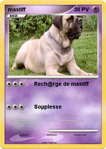 Pokemon mastiff