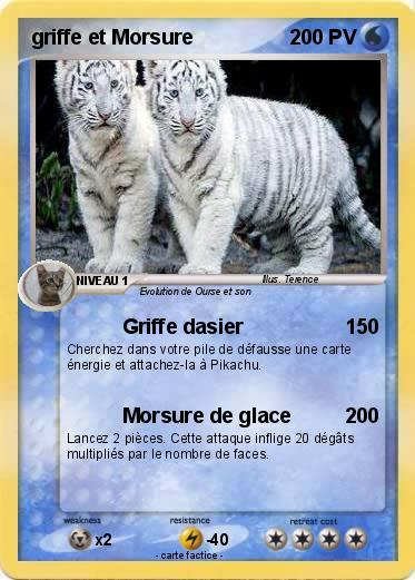 Pokemon griffe et Morsure