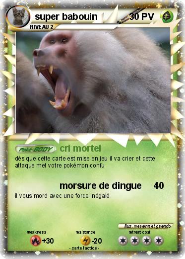 Pokemon super babouin
