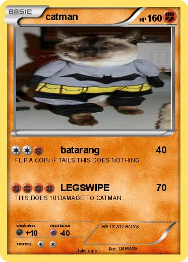 Pokemon catman