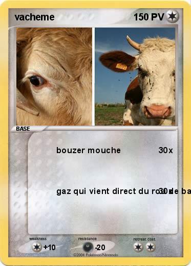 Pokemon vacheme