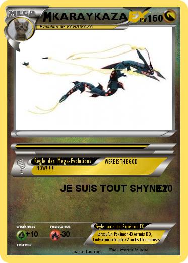 Pokemon KARAYKAZA