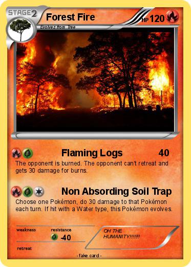 Pokemon Forest Fire