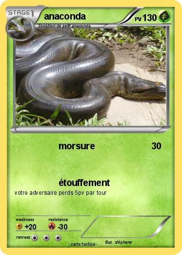 Pokemon anaconda