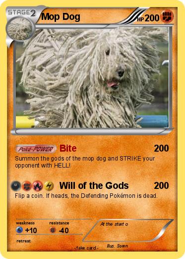 Pokemon Mop Dog