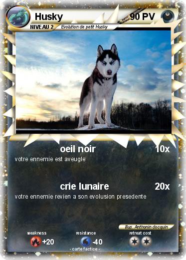 Pokemon Husky
