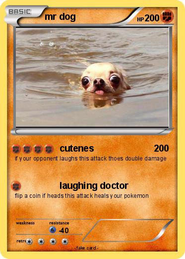Pokemon mr dog
