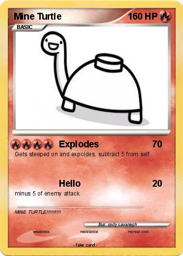 Pokemon Mine Turtle