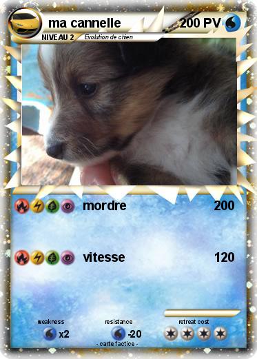 Pokemon ma cannelle