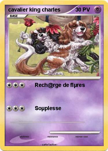 Pokemon cavalier king charles