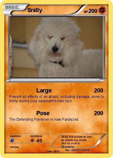 Pokemon Snilly