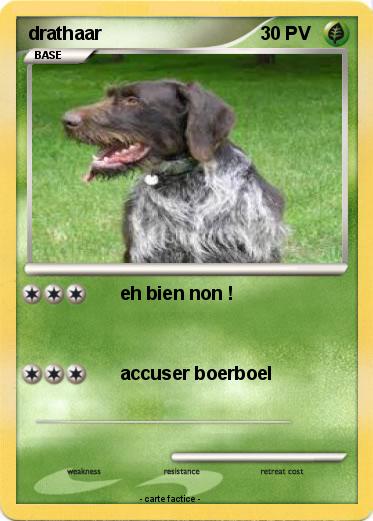 Pokemon drathaar