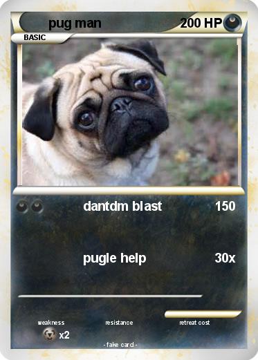 Pokemon pug man