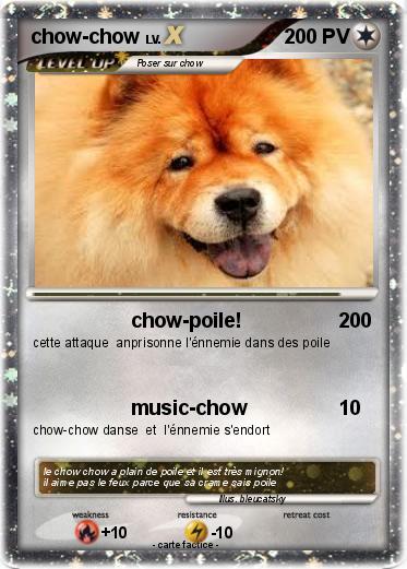 Pokemon chow-chow
