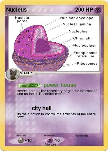 Pokemon Nucleus
