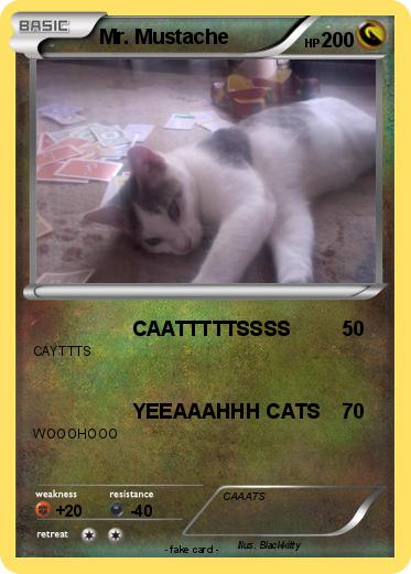 Pokemon Mr. Mustache