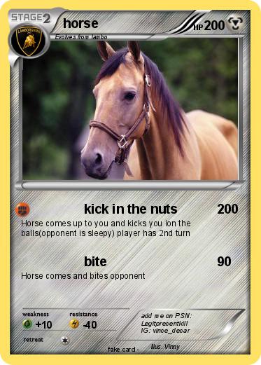 Pokemon horse