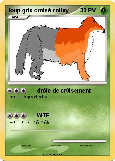 Pokemon loup gris croisé colley