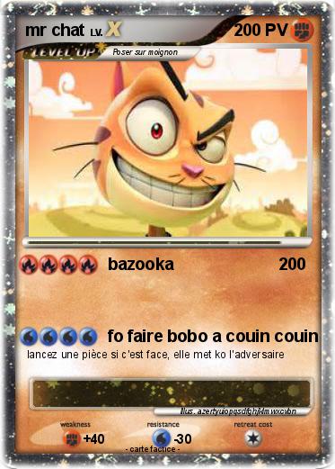 Pokemon mr chat