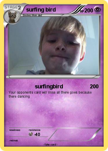 Pokemon surfing bird