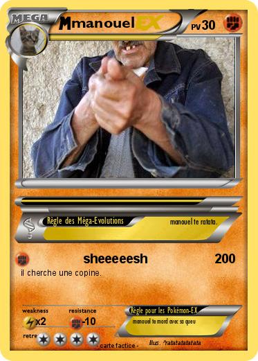 Pokemon manouel