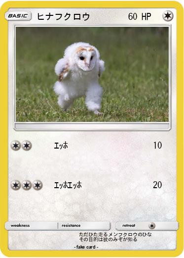 Pokemon ヒナフクロウ
