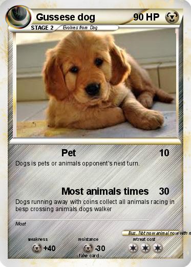 Pokemon Gussese dog
