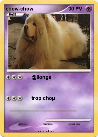 Pokemon chow-chow