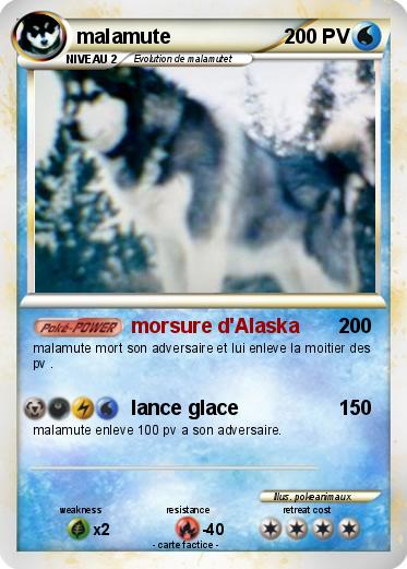 Pokemon malamute