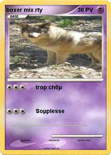 Pokemon boxer mix rty
