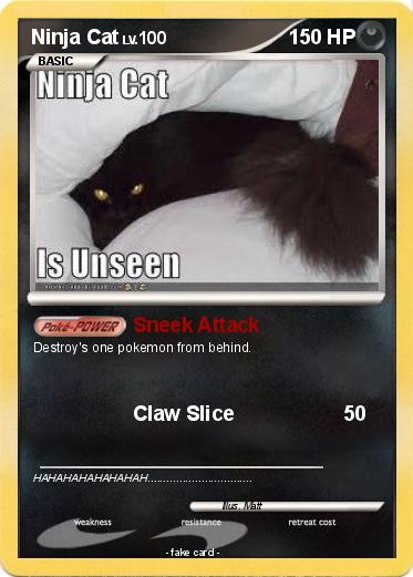 Pokemon Ninja Cat