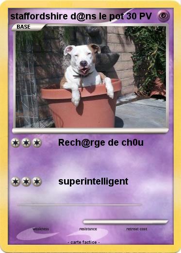 Pokemon staffordshire d@ns le pot