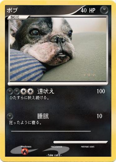 Pokemon ボブ