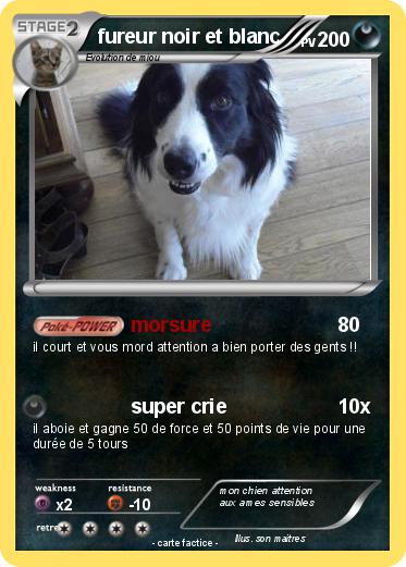 Pokemon fureur noir et blanc