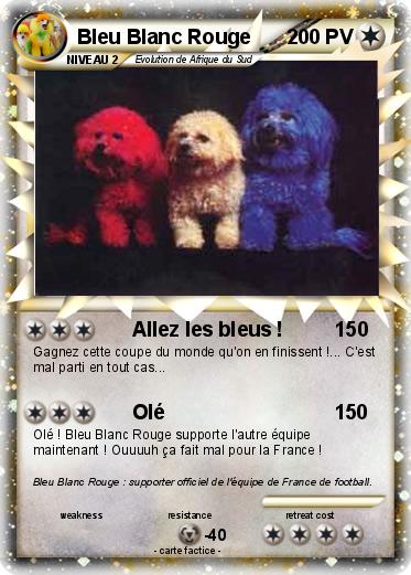 Pokemon Bleu Blanc Rouge