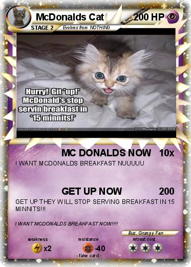 Pokemon McDonalds Cat