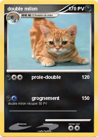 Pokemon double milon