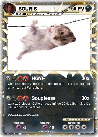 Pokemon SOURIS