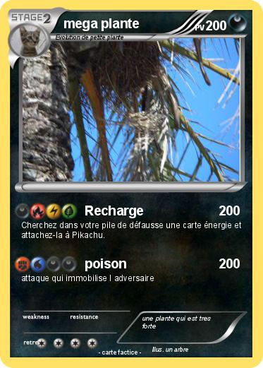Pokemon mega plante