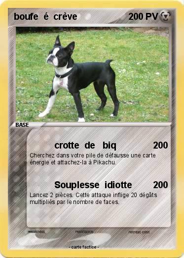 Pokemon boufe  é  crève