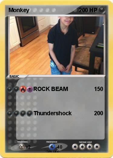 Pokemon Monkey
