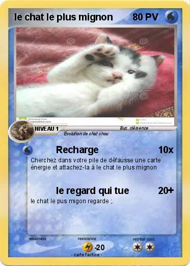 Pokemon le chat le plus mignon